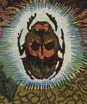 Image of a bug