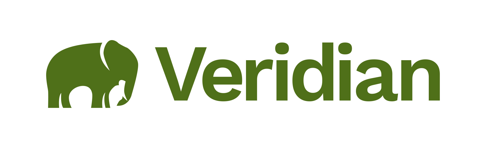 veridian software logo