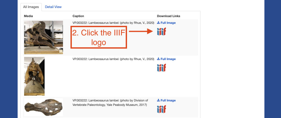 A screenshot showing to click the IIIF icon