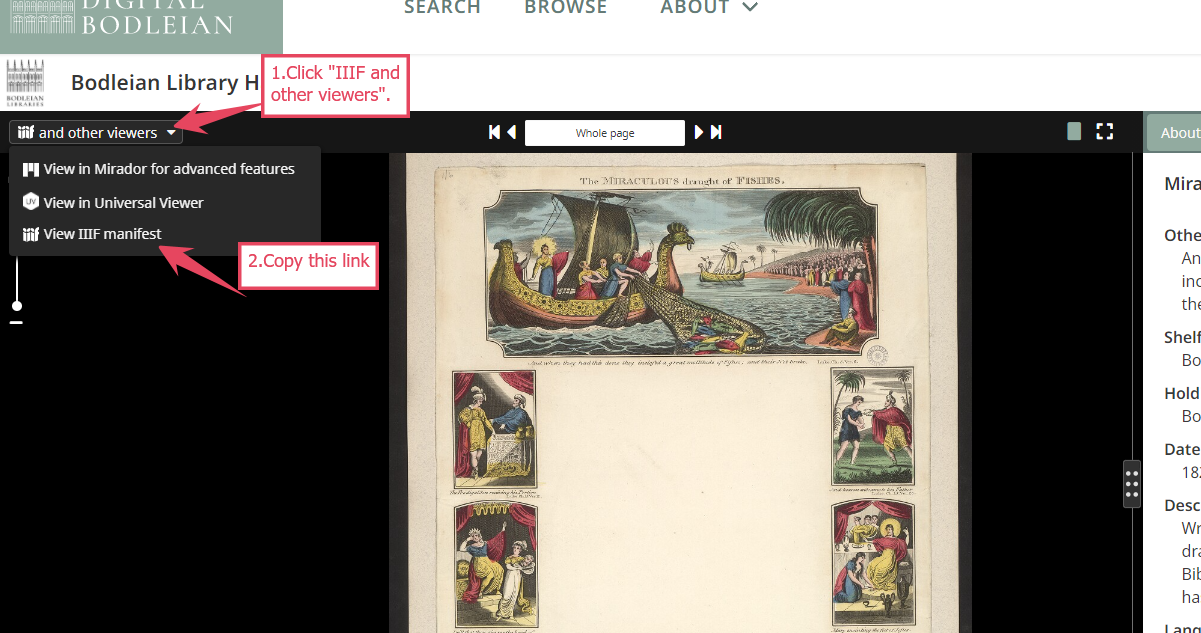 Click on IIIF and other viewers, then copy the view iif manifest link