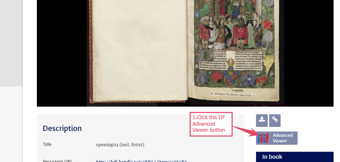 Click on the IIIF advanced viewer button